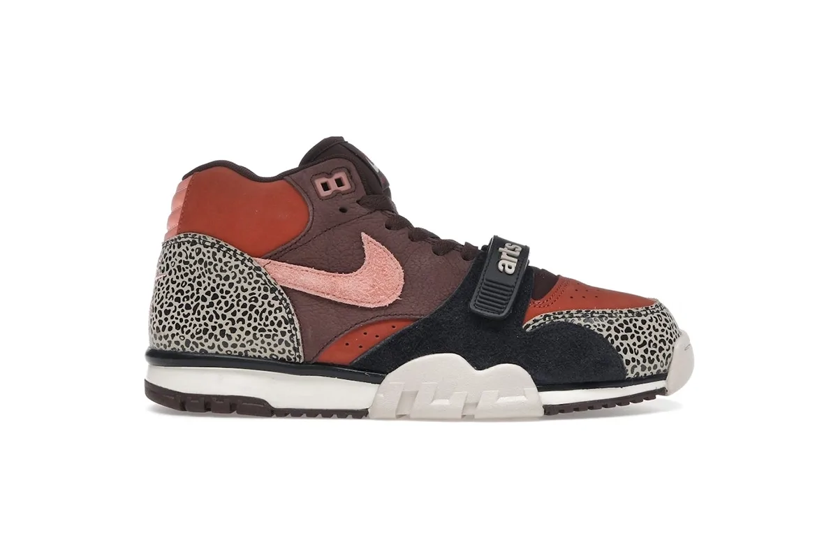 Nike SB Air Trainer 1 QS