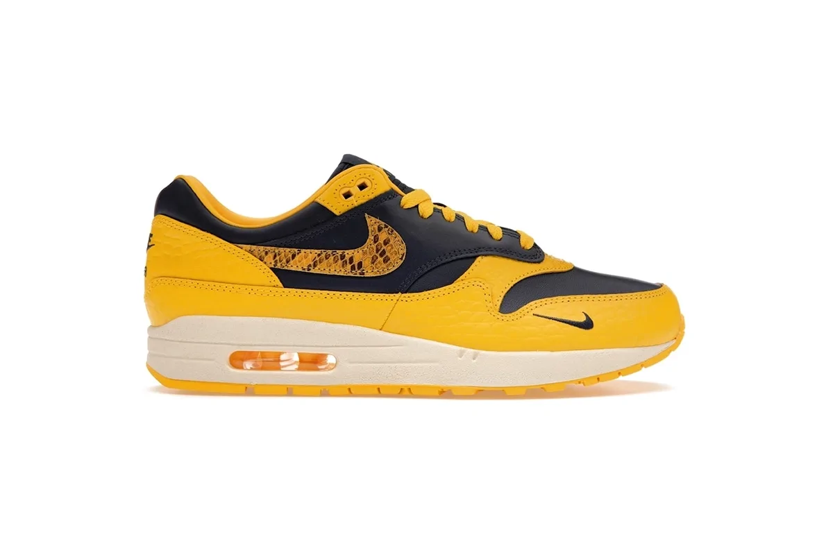 Nike Air Max 1 Premium Concept Japan Collection